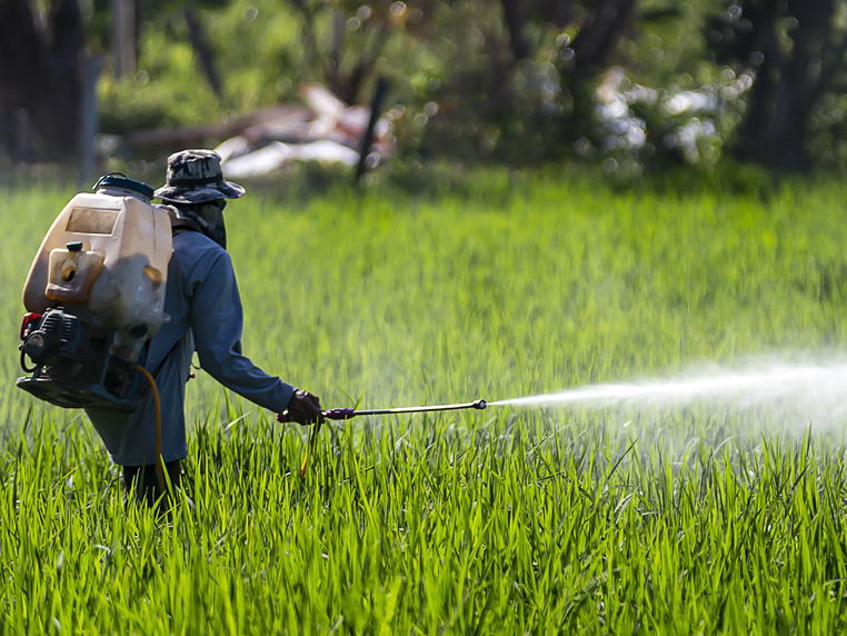 Glyphosate Herbicide: A Risky Public Health Concern